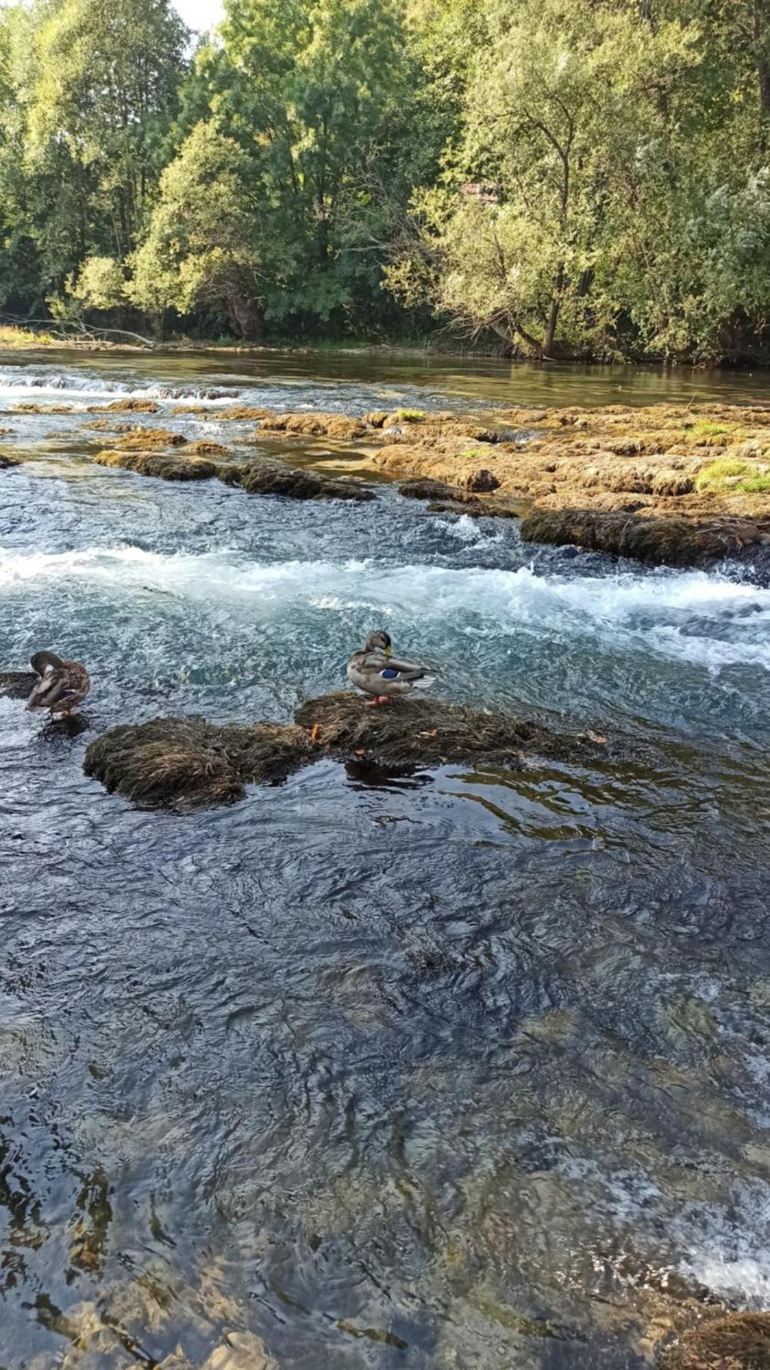 Bungalov Cozy Una Kulen Vakuf Buitenkant foto